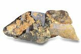 Shangaan Smoky Amethyst Crystal - Chibuku Mine, Zimbabwe #278151-1